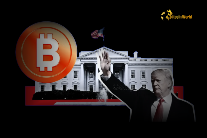 Bitcoin Valuación se Dispara con Política de Trump a la Vista