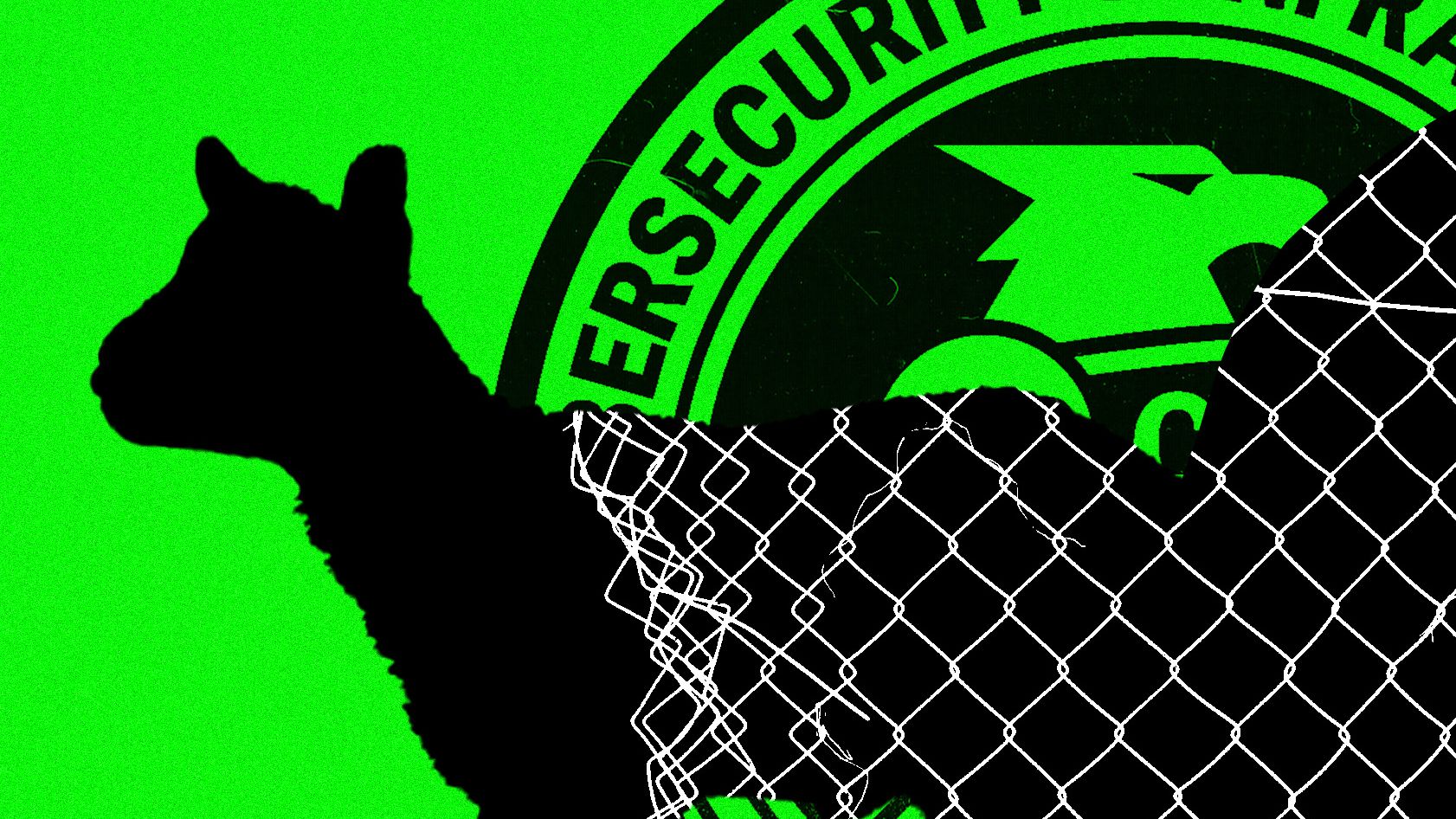 Despidos en CISA tras recortes federales
