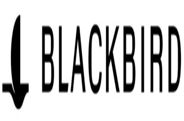 Blackbird Labs Impulsa Restaurantes con Blockchain y $50M de Inversión