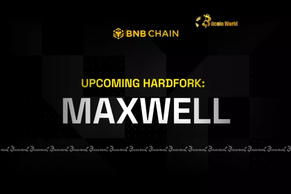 BNB Actualiza con Maxwell: Reducción de Tiempos a 0,8 Segundos