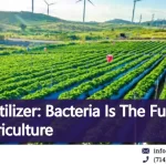 Revolución en Agricultura: Bacterias Sustituyen Fertilizantes Sintéticos