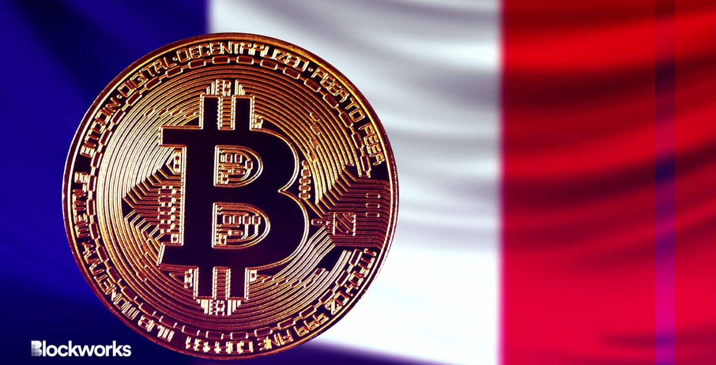 ¿Por qué el 64% de los Franceses Prefiere Criptomonedas?