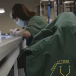 Insectos Fracasos: Ÿnsect se declara en quiebra tras recaudar 600 millones