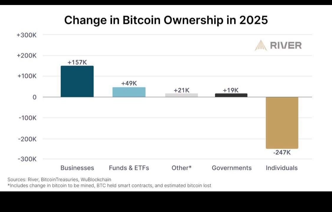 La Corporativización de Bitcoin y el Retroceso Individual en 2025