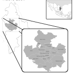 Auge de los Bares de Despecho Refleja Cambios Sociales en México