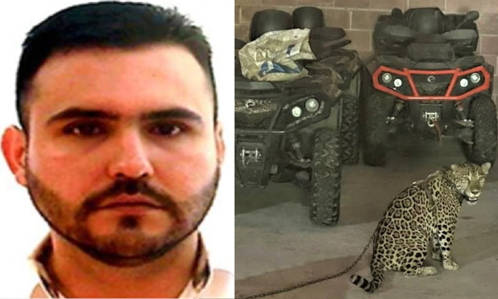CJNG y Huachicoleo: Padre e Hijo Arrestados en EE.UU. por Tráfico de Petróleo