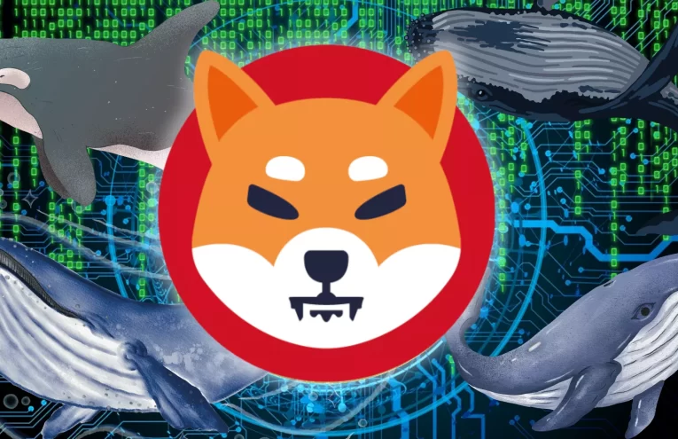 Shiba Inu: Ballenas Impulsan la Acumulación en un 207%