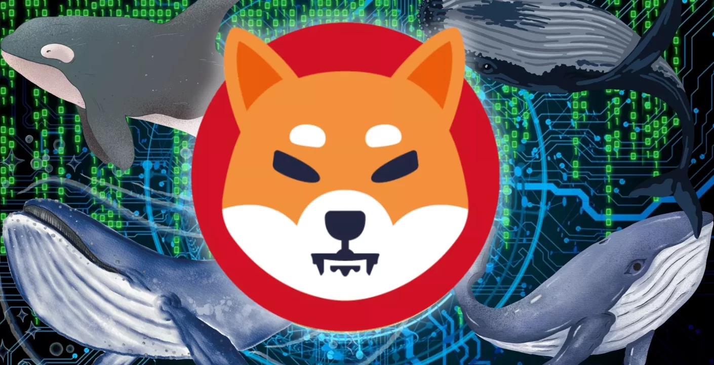 Shiba Inu: Ballenas Impulsan la Acumulación en un 207%