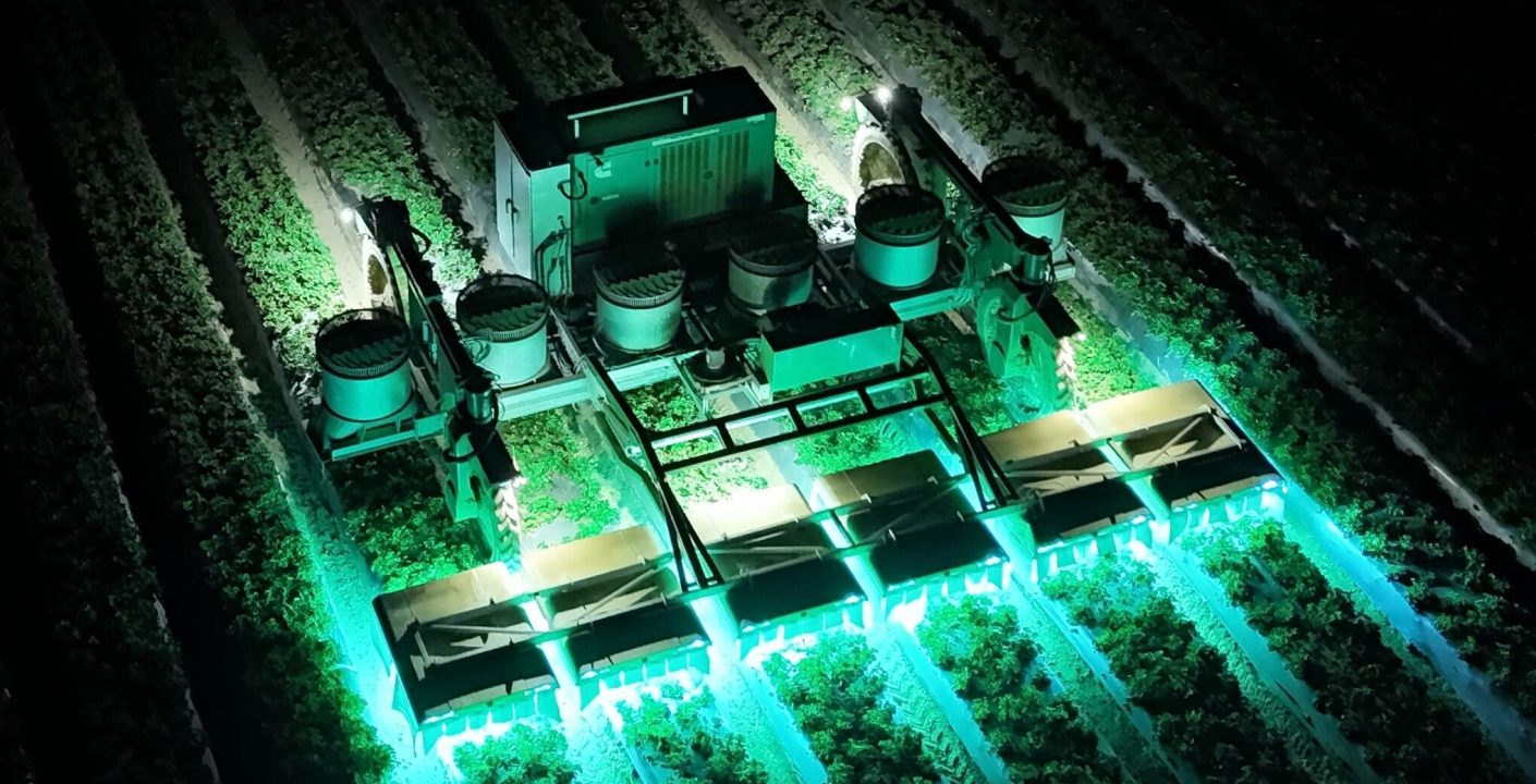 Robots Agrícolas: La Innovación que Revoluciona el Cultivo de Fresas