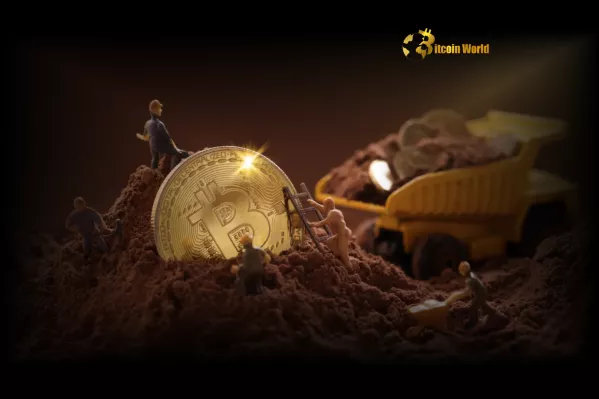 Minero Solitario de Bitcoin Gana USD $340,000 al Extraer Bloque
