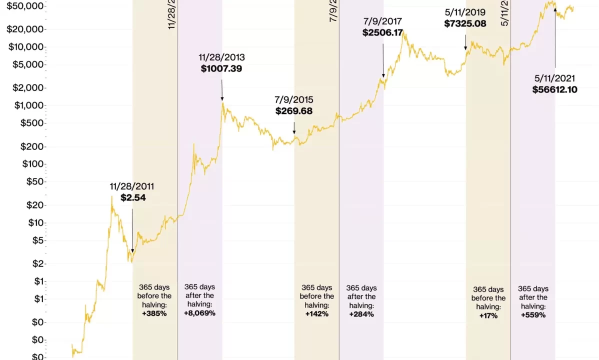 Predicción Bitcoin 2025: Récords y Desafíos a la Vista
