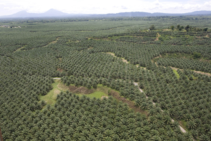 Bancos en Singapur Abordan los Riesgos Naturales en el Sector Financiero