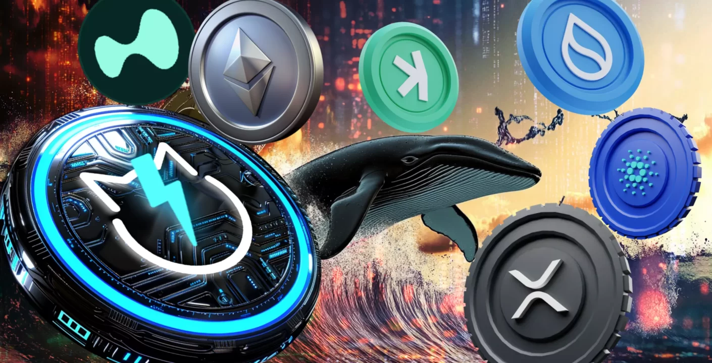 Ethereum y Cardano en Rumbo Contrario: Ballenas Reacomodan sus Inversiones