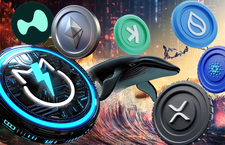 Ethereum y Cardano en Rumbo Contrario: Ballenas Reacomodan sus Inversiones