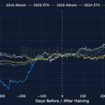 Altcoins Empuje: Superan a Bitcoin en un Mercado Desacelerado