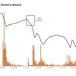 Crisis Bitcoin: Las Ballenas Liquidaron 7.000 BTC a Binance en Agosto 2025