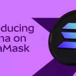 MetaMask mejora usabilidad con soporte para dominios .sol