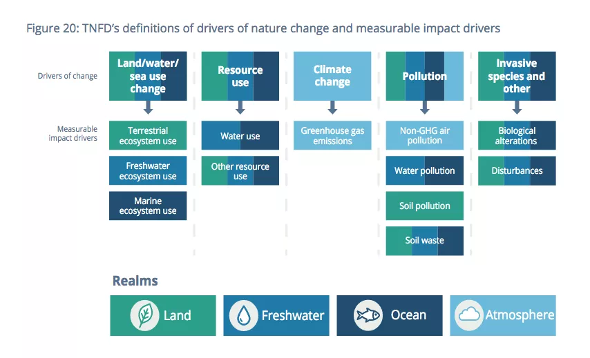 Impacto Ambiental: 12 Preguntas Clave para Consejos Ejecutivos