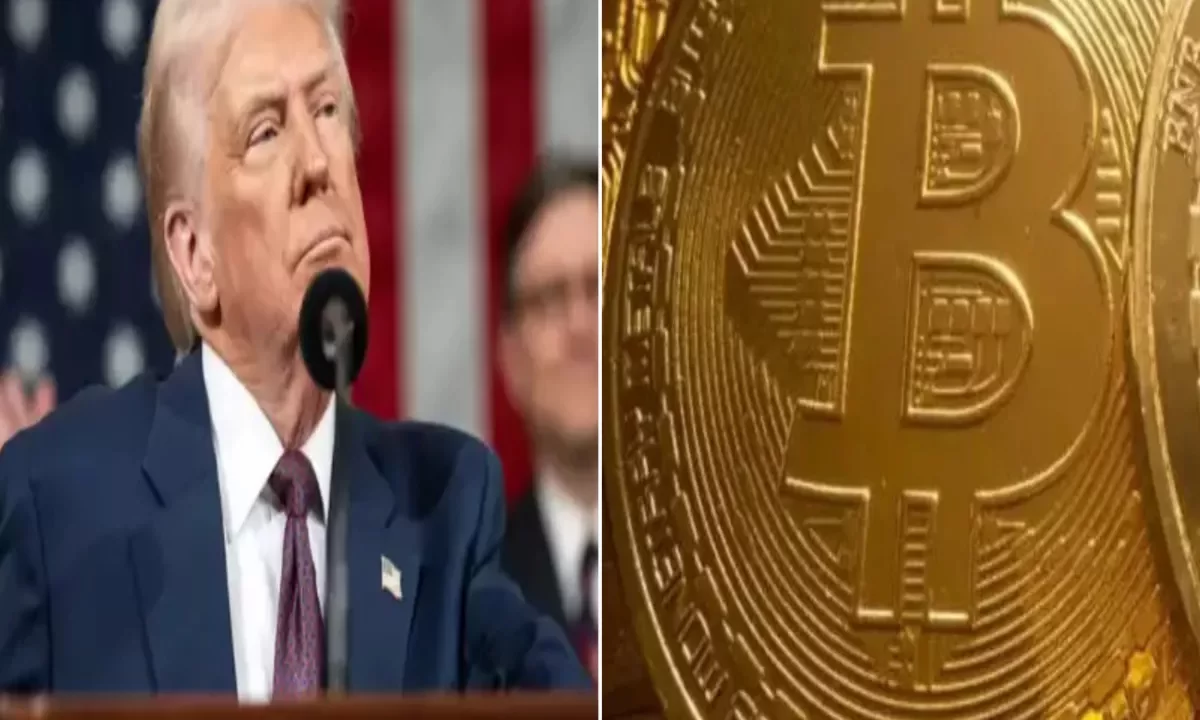 WLFI Criptomoneda: Ascenso Rápido y Controversias Vinculadas a Trump