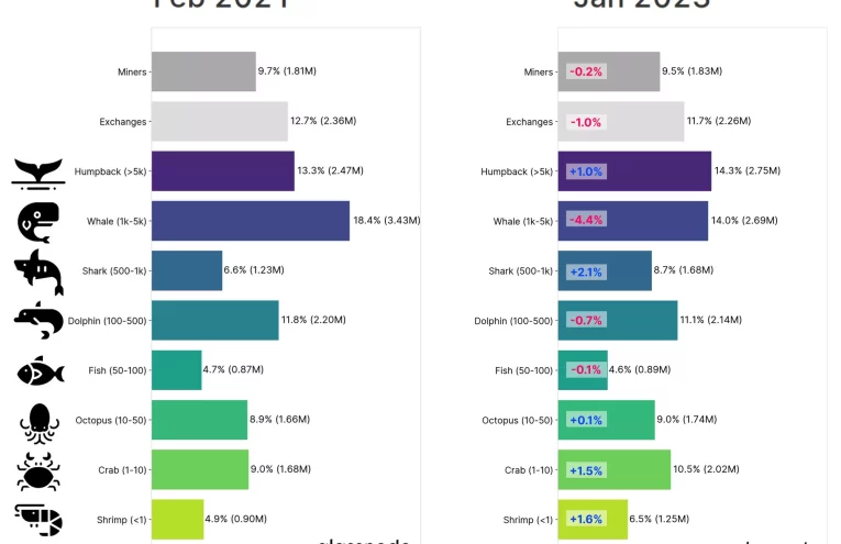Distribución Bitcoin: La concentración oculta de BTC en pocas manos