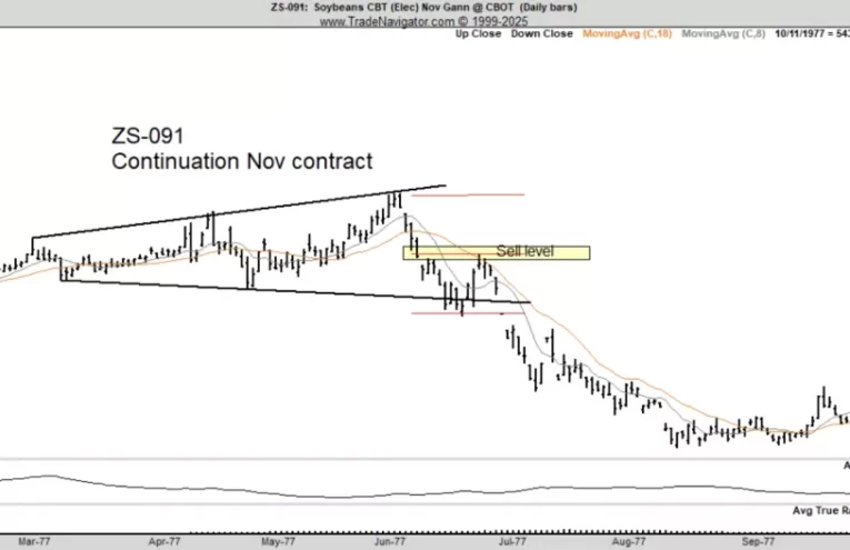 Bitcoin y Soja: Advertencia de un Posible Desplome Según Peter Brandt