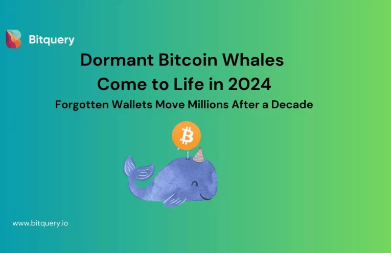 Cartera Bitcoin Reactivada Tras 14 Años: ¿Qué Significa?