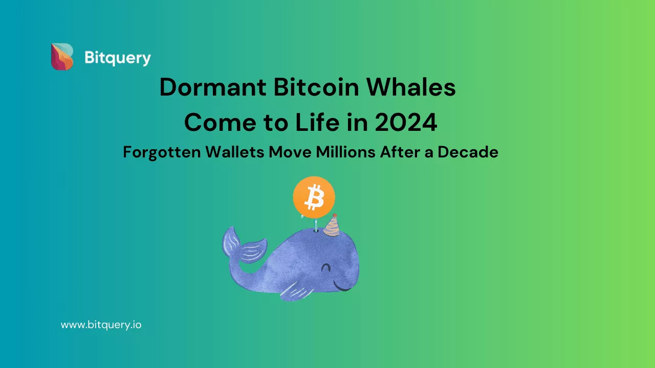 Cartera Bitcoin Reactivada Tras 14 Años: ¿Qué Significa?