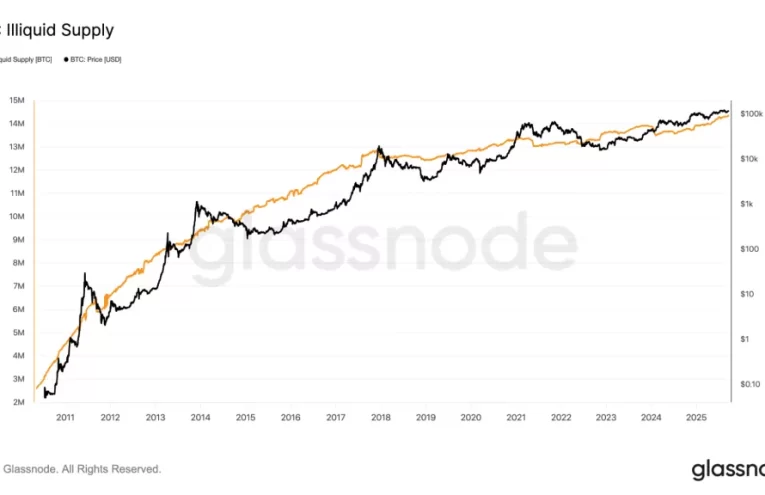 Bitcoin Récord: Sólidos Fundamentos y Creciente Interés Institucional