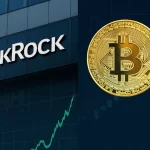 ETF Bitcoin: BlackRock Avanza Mientras Otros Se Estacan