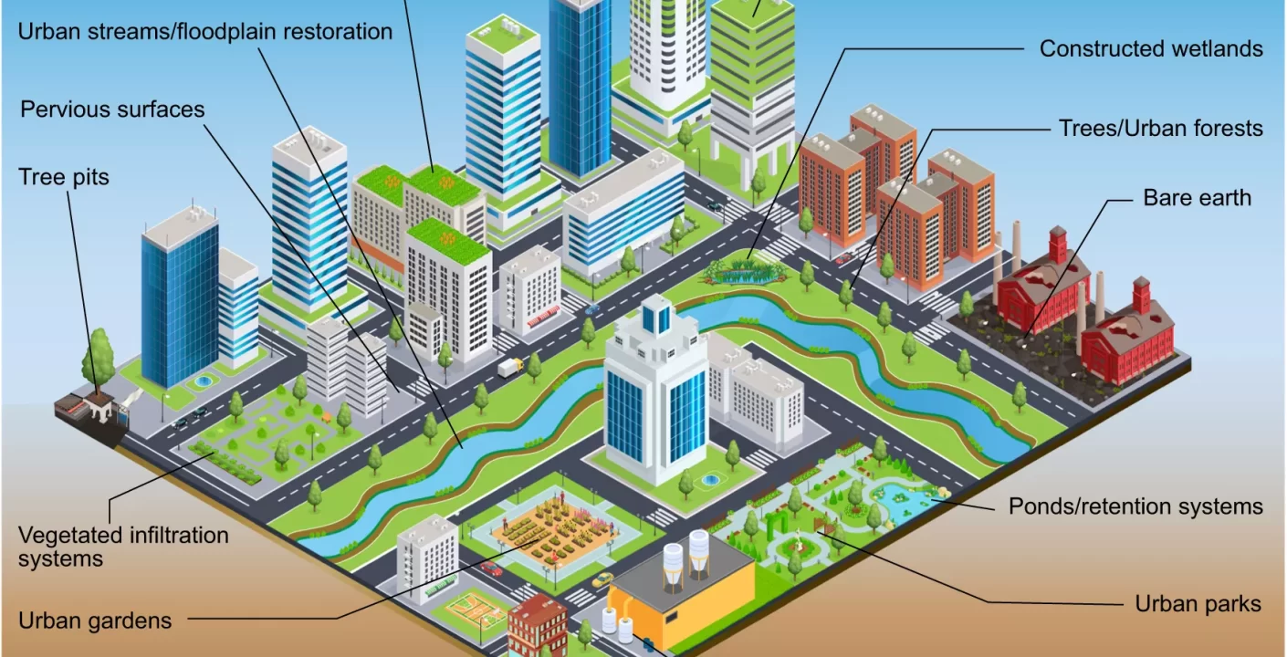 Ciclo de Vida de Proyectos de Finanzas Sostenibles