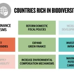 Finanzas sostenibles: Clave para invertir en la naturaleza