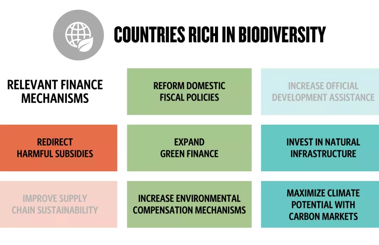 Finanzas sostenibles: Clave para invertir en la naturaleza