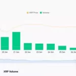 Aumento Espectacular de Usuarios de XRP en Tiempo Récord