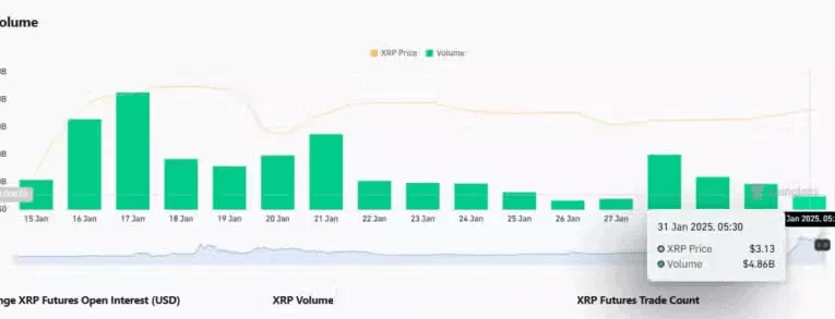 Aumento Espectacular de Usuarios de XRP en Tiempo Récord