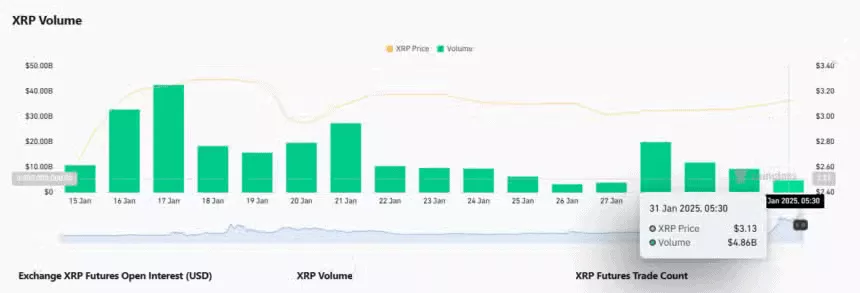 Aumento Espectacular de Usuarios de XRP en Tiempo Récord
