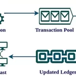 Computación Cuántica: Bitcoin Seguro por 20 a 40 Años Según Adam Back