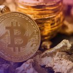 BlackRock: Bitcoin como Reserva de Valor, pero ¿No para Pagos Diarios?