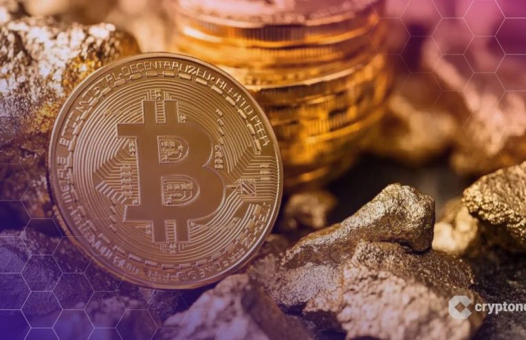BlackRock: Bitcoin como Reserva de Valor, pero ¿No para Pagos Diarios?