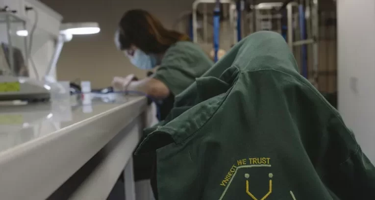 Insectos Fracasos: Ÿnsect se declara en quiebra tras recaudar 600 millones