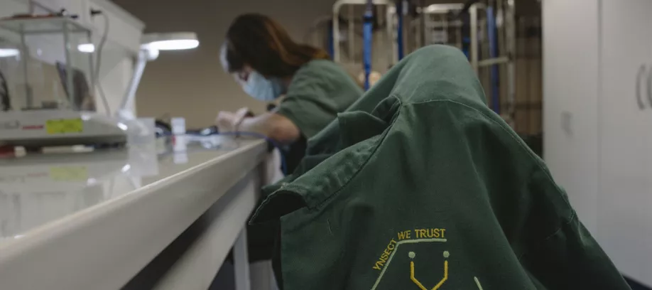 Insectos Fracasos: Ÿnsect se declara en quiebra tras recaudar 600 millones