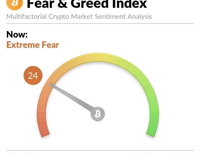 Caída Histórica en Búsquedas de Cripto Despierta Alarma Empresarial