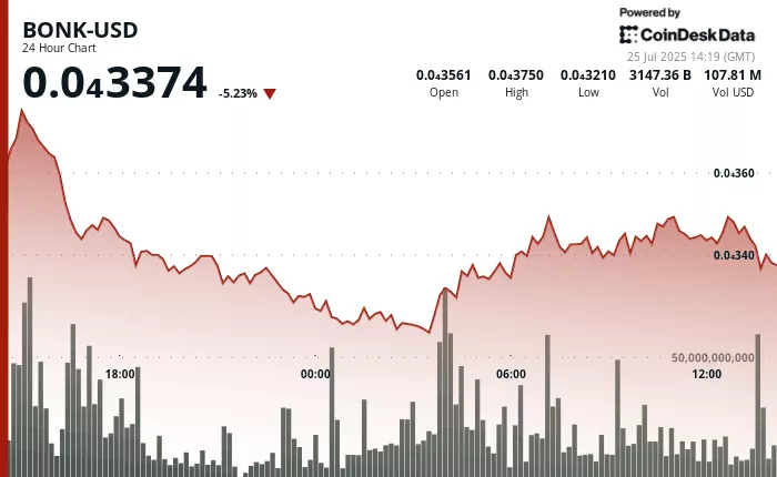 BONK se Mantiene Bajo Presión: Sin Señales de Rebote Claro