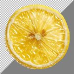 Lemon Slice transforma los Digital Avatars con apoyo financiero