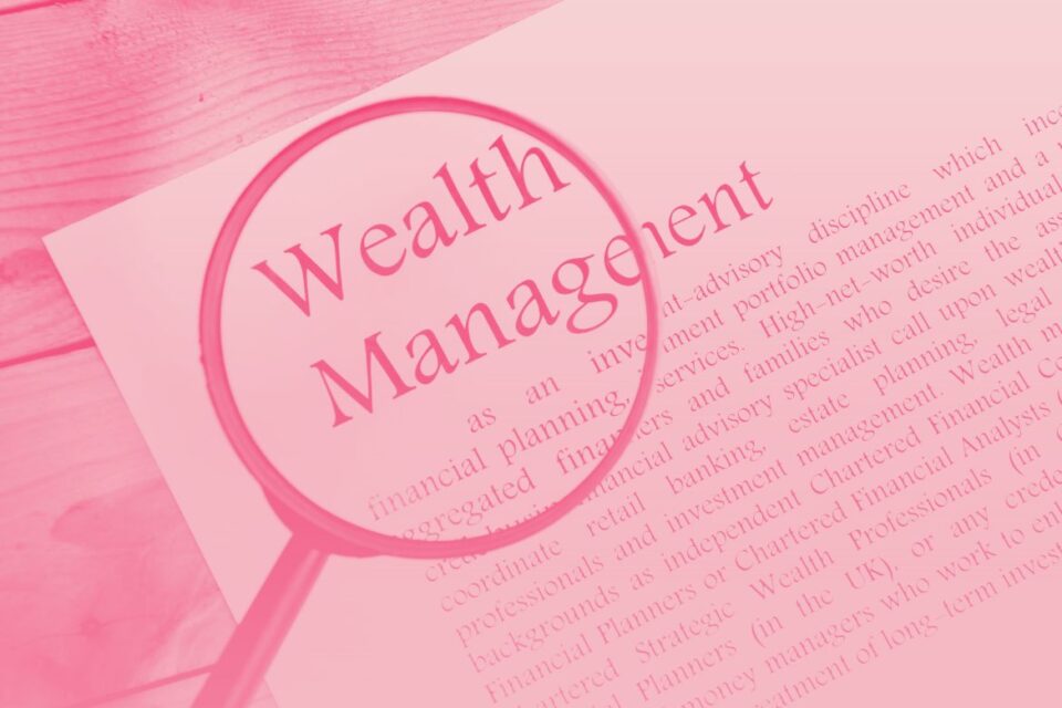 RuDo Wealth Enfrenta la Brecha de Asesoría para NRIs en UAE