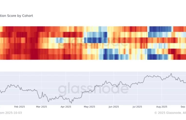 Bitcoin Q4: Empresas Frenan, Gigantes Acumulan