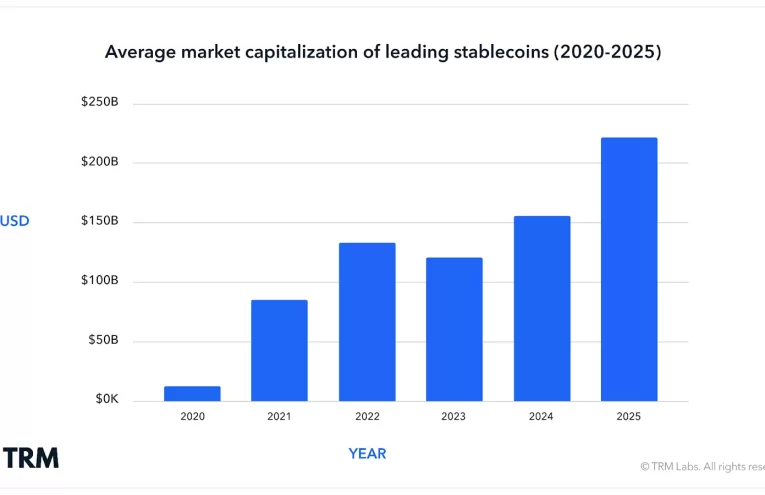 Informe Cripto 2025: Crecimiento en Stablecoins y Caída en el Mercado