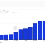 Visa Cripto Revela Aumento del 525% en 2025