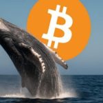 Depósitos de Ballenas en Bitcoin Alcanzan Niveles Históricos