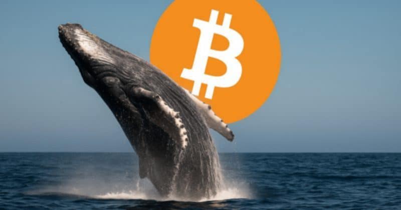 Depósitos de Ballenas en Bitcoin Alcanzan Niveles Históricos