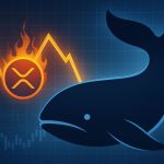 Transferencia Masiva de XRP Aumenta la Tensión en el Mercado